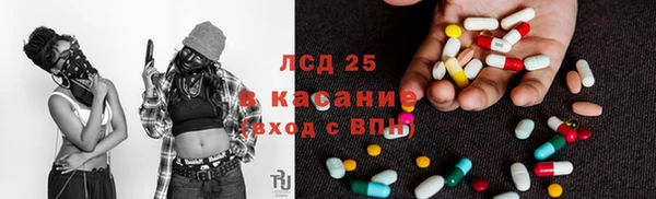 гидропоника Ладушкин