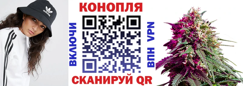 Купить где  Олонец  Бошки Шишки марихуана 